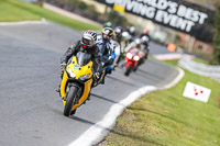 Oulton-Park-21st-March-2020;PJ-Motorsport-Photography-2020;anglesey;brands-hatch;cadwell-park;croft;donington-park;enduro-digital-images;event-digital-images;eventdigitalimages;mallory;no-limits;oulton-park;peter-wileman-photography;racing-digital-images;silverstone;snetterton;trackday-digital-images;trackday-photos;vmcc-banbury-run;welsh-2-day-enduro